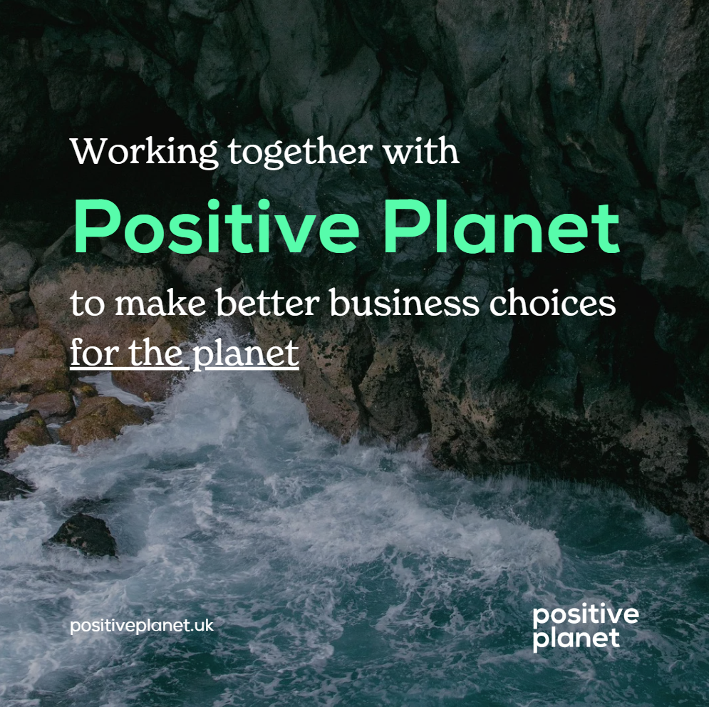 Positive Planet 2025 Report